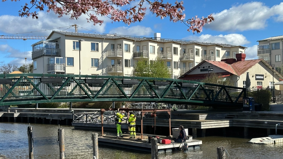 Två personer i neongula rbetskläder står på en flotte i en kanal och tittar upp under en bro. Det är soligt ute, himlen är blå och i förgrunden syns blommande körsbärsträd.
